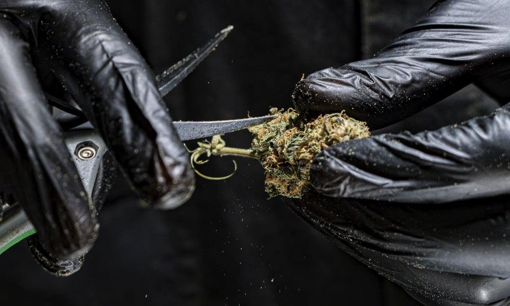 special 3332942 photo