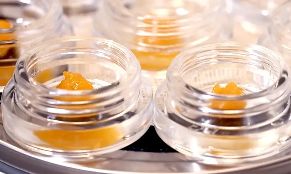 special 3337941 photo