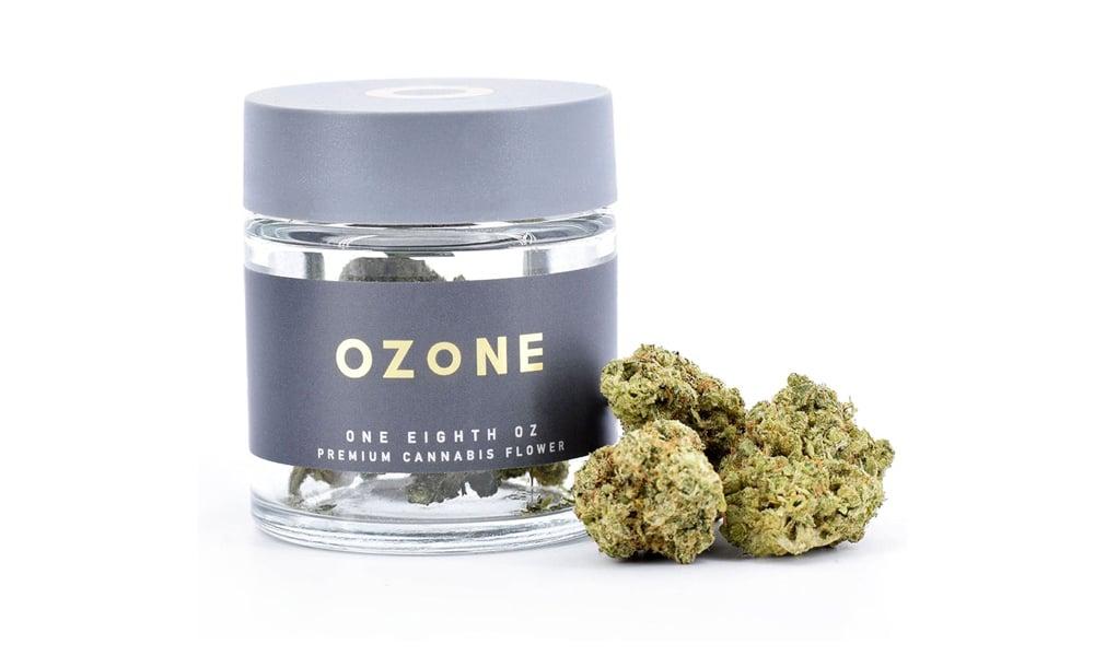 special 3329729 photo