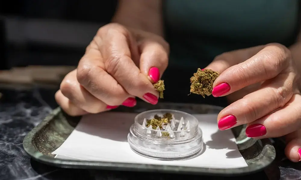 special 3311524 photo