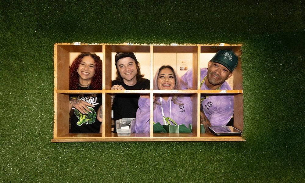 special 3329706 photo