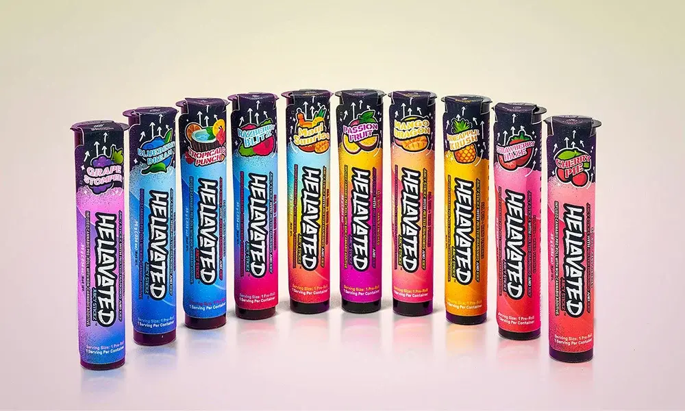 special 3308084 photo