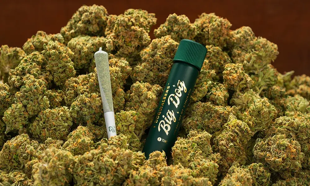 special 3000163 photo