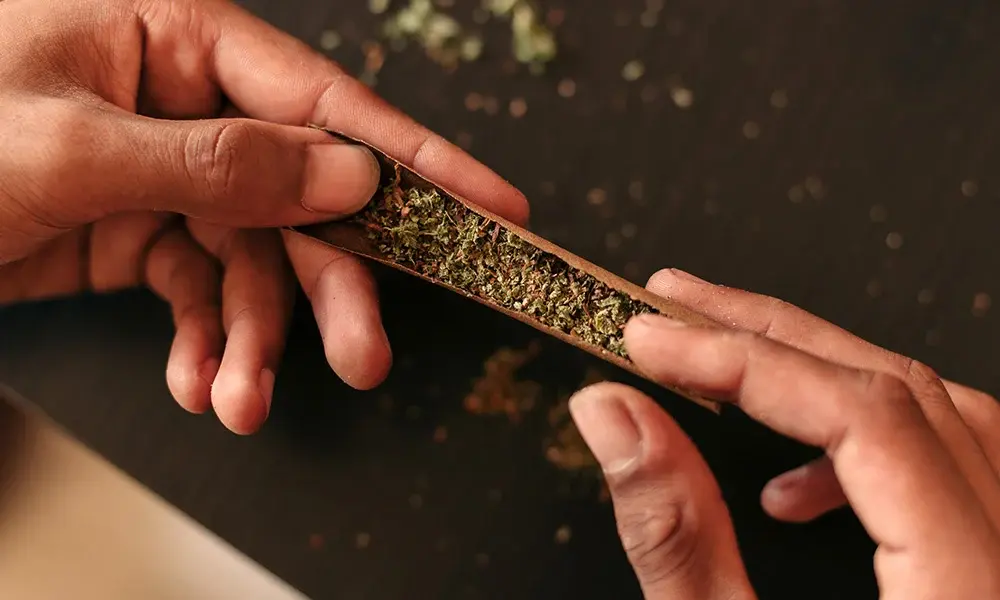 special 3328702 photo