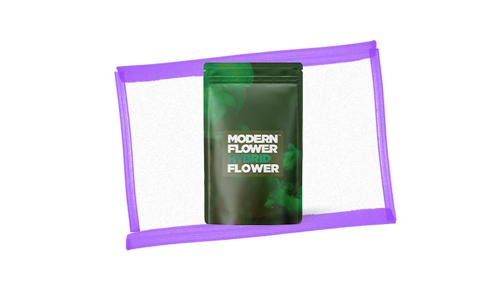 special 3330586 photo