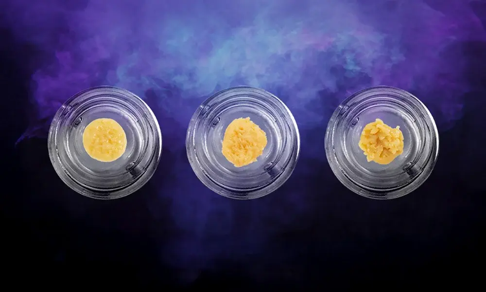 special 3316956 photo