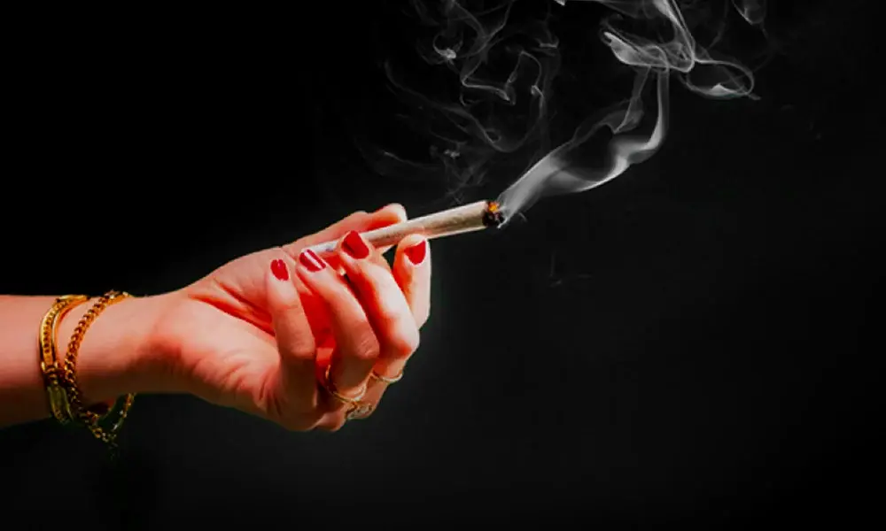 special 3293419 photo