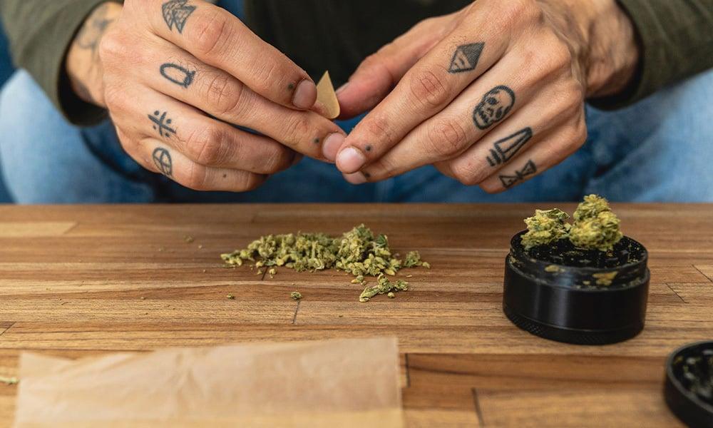 special 3231250 photo