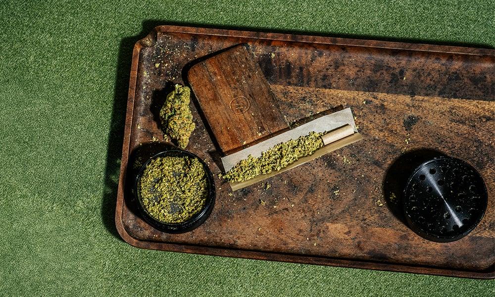 special 3347448 photo