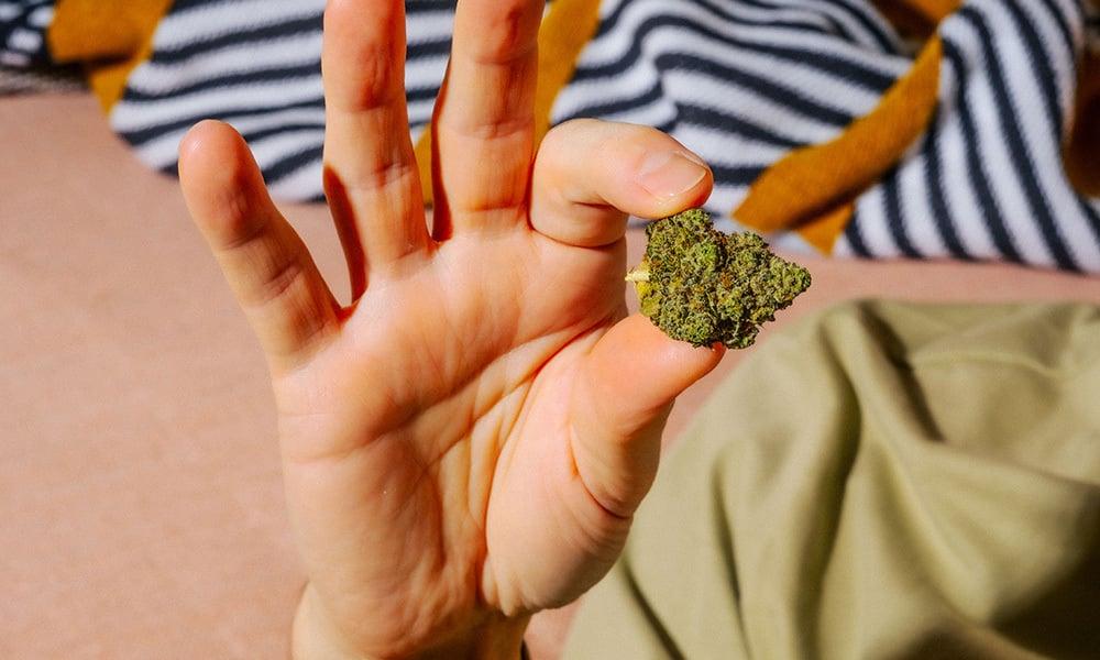 special 3246286 photo