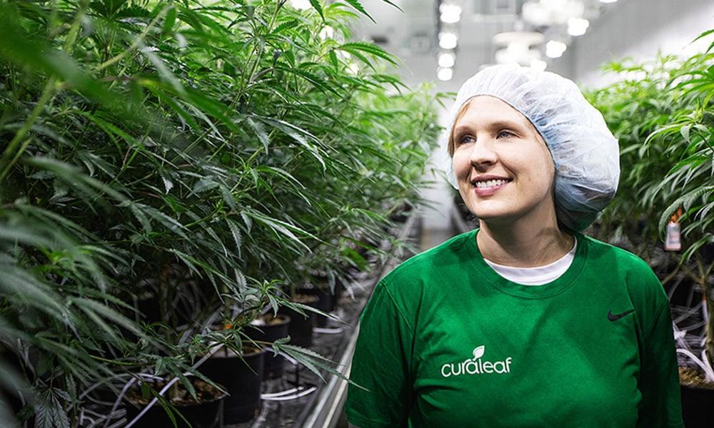 special 3292474 photo