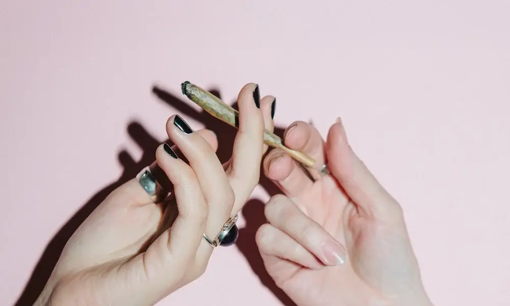 special 3329699 photo